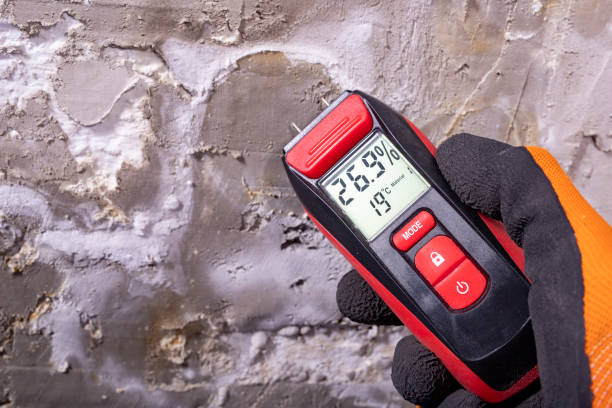 Best Attic Mold Removal  in Taylors, SC