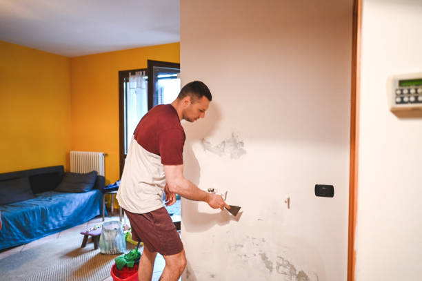 Best Home Mold Removal  in Taylors, SC